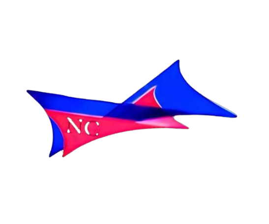 Novo Curve Logo